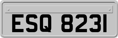 ESQ8231