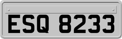 ESQ8233