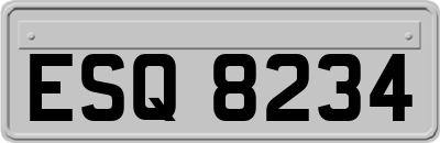 ESQ8234