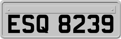 ESQ8239