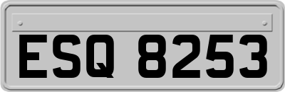 ESQ8253