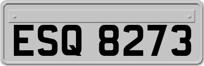 ESQ8273