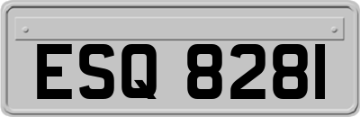ESQ8281