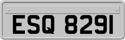 ESQ8291