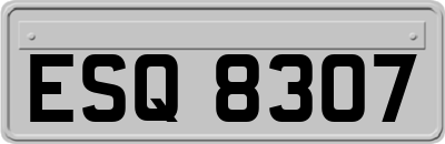 ESQ8307