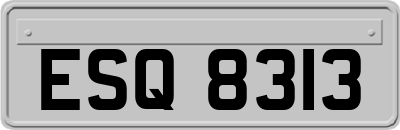ESQ8313