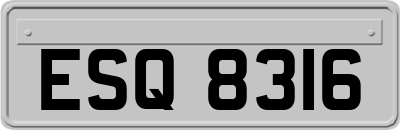 ESQ8316