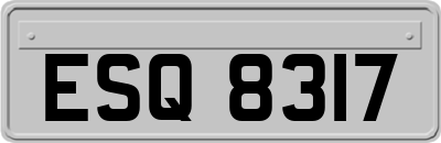 ESQ8317