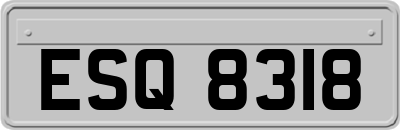 ESQ8318