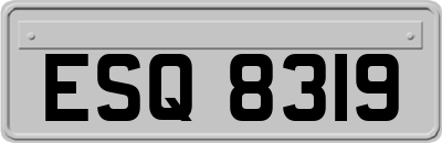 ESQ8319