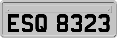 ESQ8323