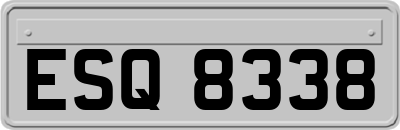 ESQ8338
