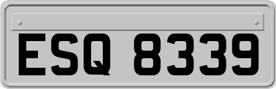 ESQ8339