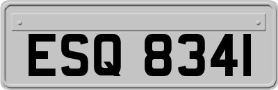 ESQ8341