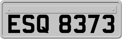ESQ8373