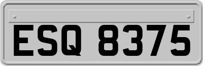 ESQ8375