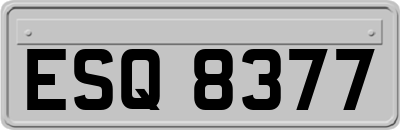 ESQ8377