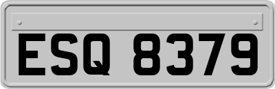 ESQ8379