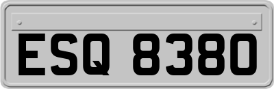 ESQ8380