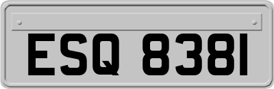 ESQ8381