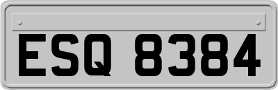 ESQ8384
