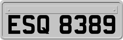 ESQ8389