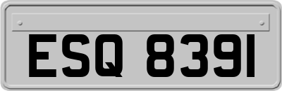 ESQ8391