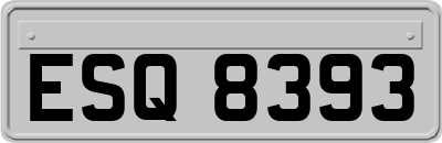 ESQ8393