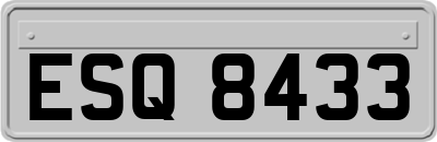 ESQ8433