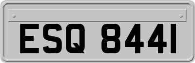 ESQ8441