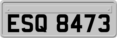 ESQ8473