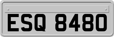 ESQ8480