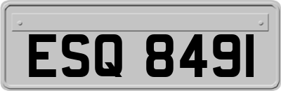 ESQ8491