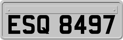ESQ8497