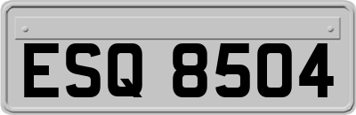 ESQ8504