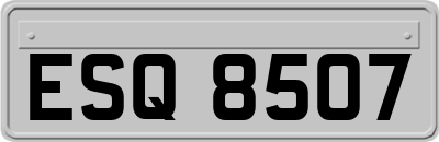 ESQ8507