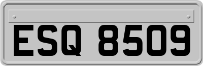 ESQ8509