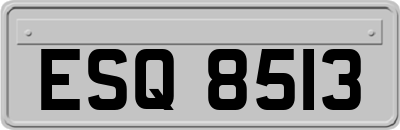 ESQ8513