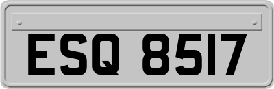 ESQ8517