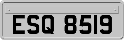 ESQ8519