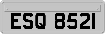 ESQ8521