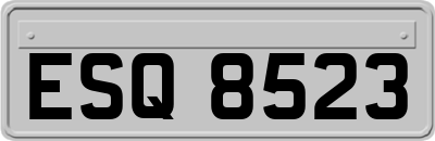 ESQ8523