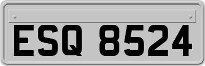 ESQ8524
