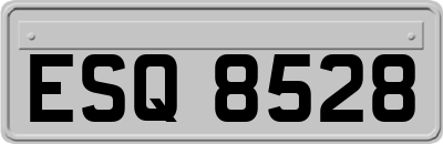 ESQ8528