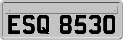 ESQ8530