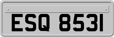 ESQ8531