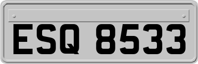 ESQ8533