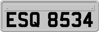 ESQ8534