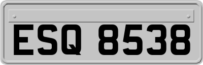 ESQ8538