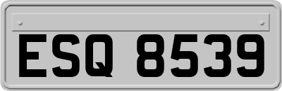 ESQ8539